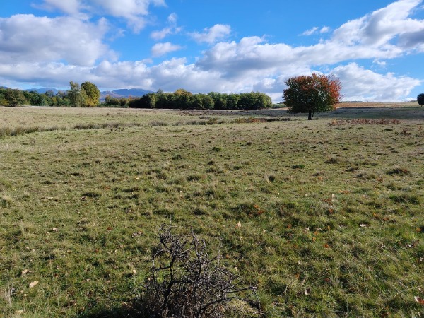 WhatsApp Image 2025-11-11 at 18.57.09-redimensionată-la-medie