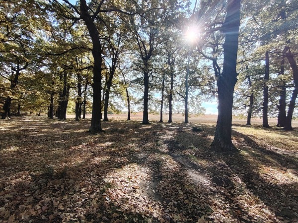 WhatsApp Image 2025-11-11 at 18.57.11 (1)-redimensionată-la-medie