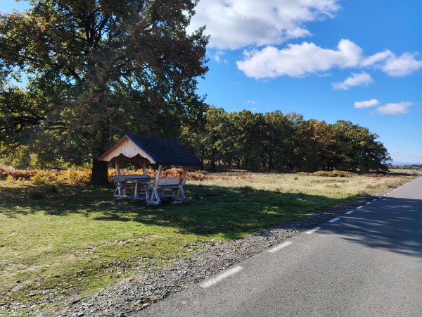 WhatsApp Image 2025-11-11 at 18.57.13 (3)-redimensionată-la-medie